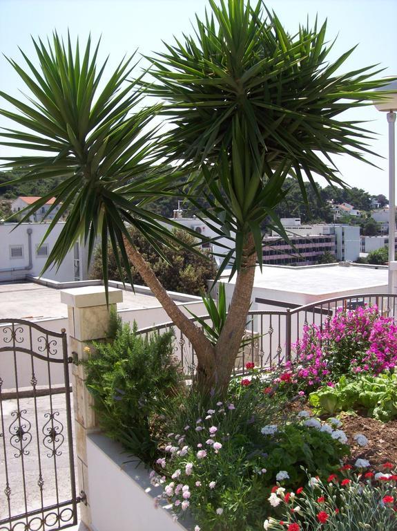 Apartment Prosperina Hvar *